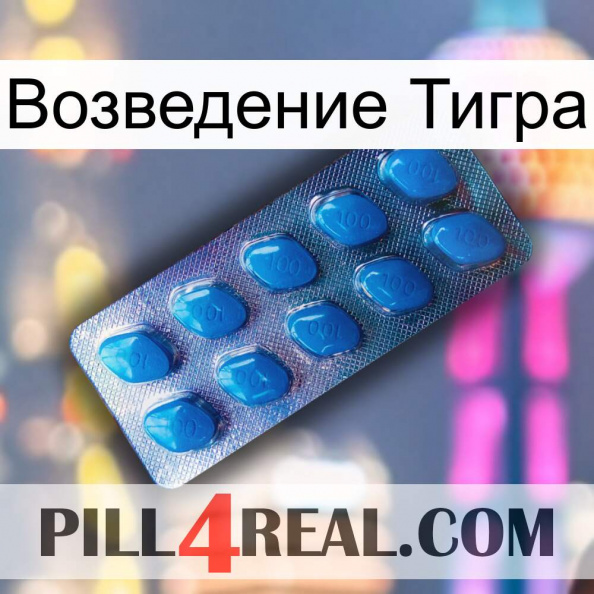 Возведение Тигра viagra1.jpg